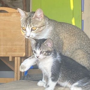 Meet your Posher, Grace